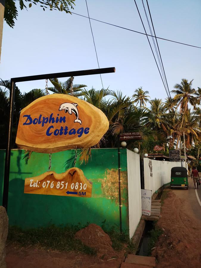Dolphin Cottage ミリッサ エクステリア 写真